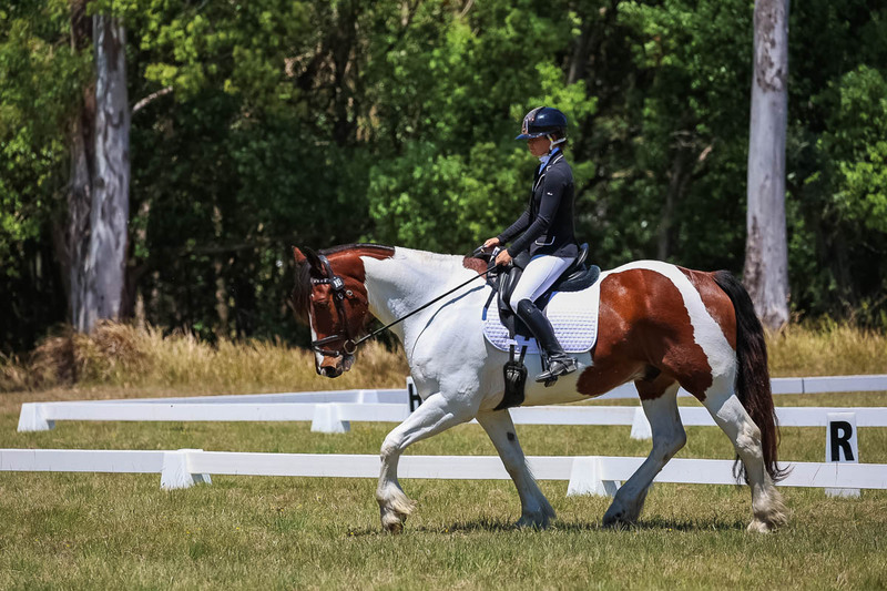 tEG 3DE 2025 Friday Dressage -1886.jpg