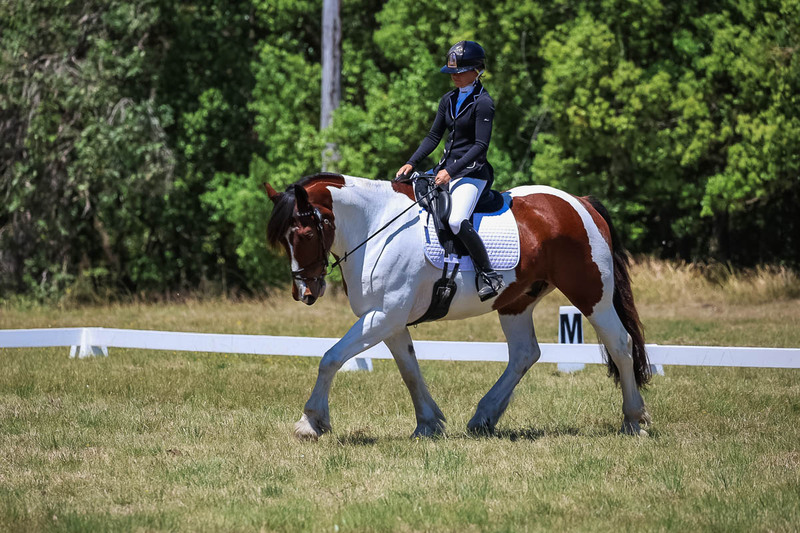 tEG 3DE 2025 Friday Dressage -1887.jpg