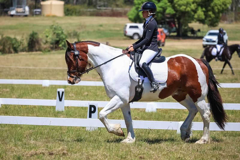 tEG 3DE 2025 Friday Dressage -1888.jpg