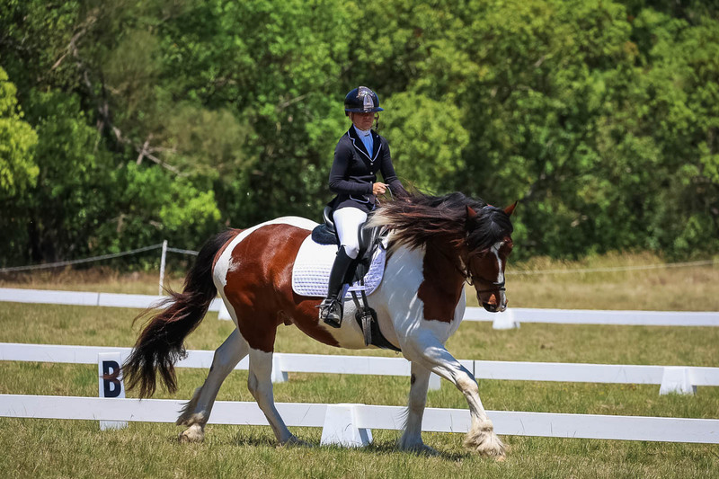 tEG 3DE 2025 Friday Dressage -1894.jpg