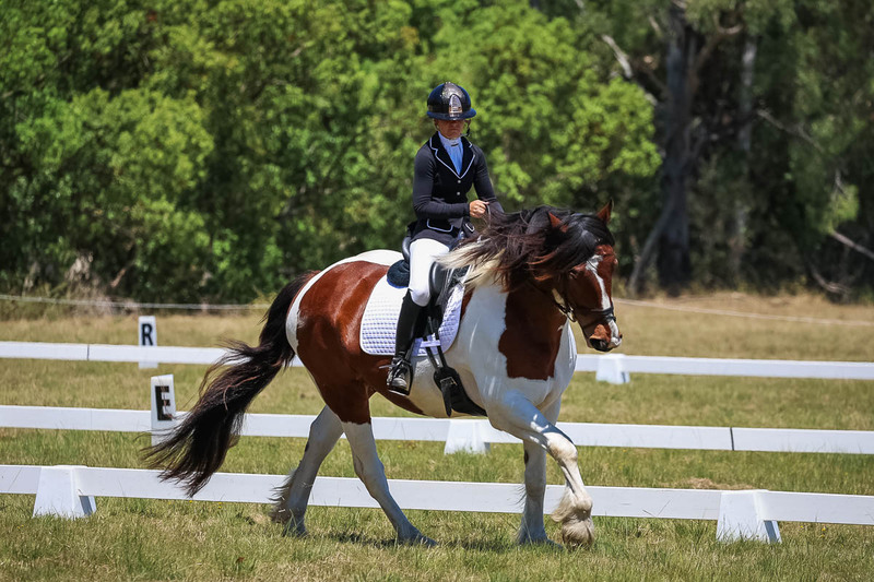 tEG 3DE 2025 Friday Dressage -1895.jpg