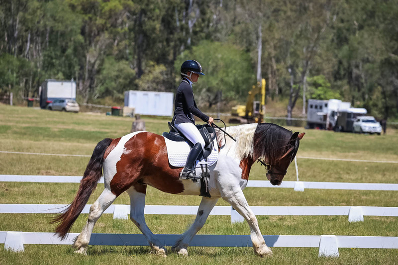 tEG 3DE 2025 Friday Dressage -1899.jpg
