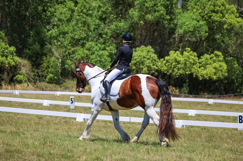 tEG 3DE 2025 Friday Dressage -1900.jpg