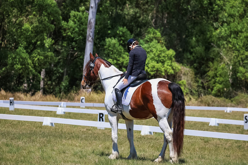 tEG 3DE 2025 Friday Dressage -1901.jpg