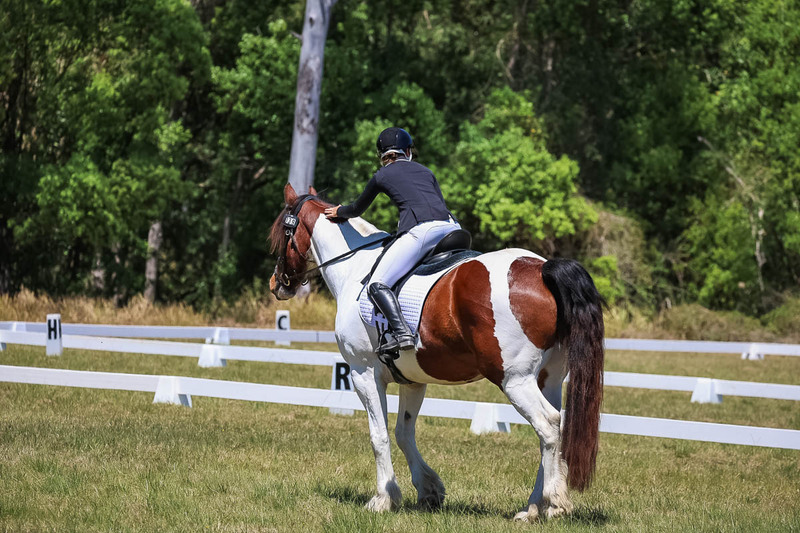 tEG 3DE 2025 Friday Dressage -1902.jpg