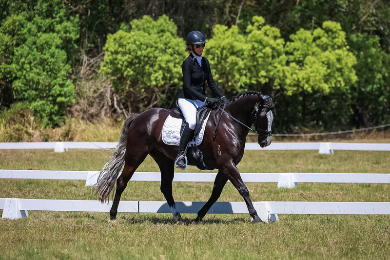 tEG 3DE 2025 Friday Dressage -1905.jpg