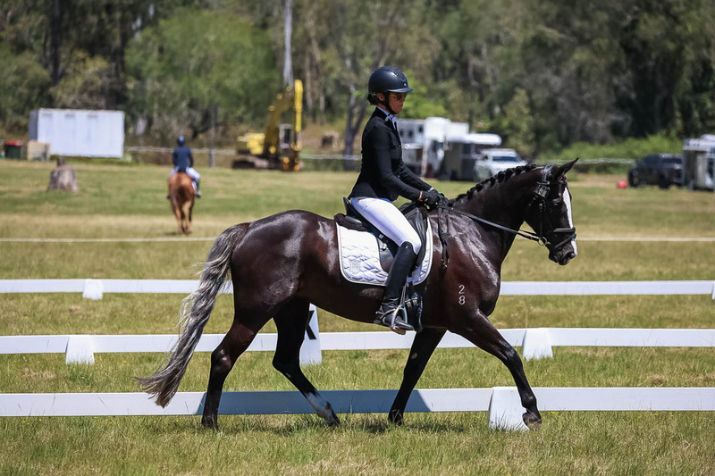 tEG 3DE 2025 Friday Dressage -1908.jpg