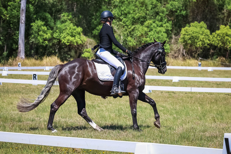 tEG 3DE 2025 Friday Dressage -1909.jpg
