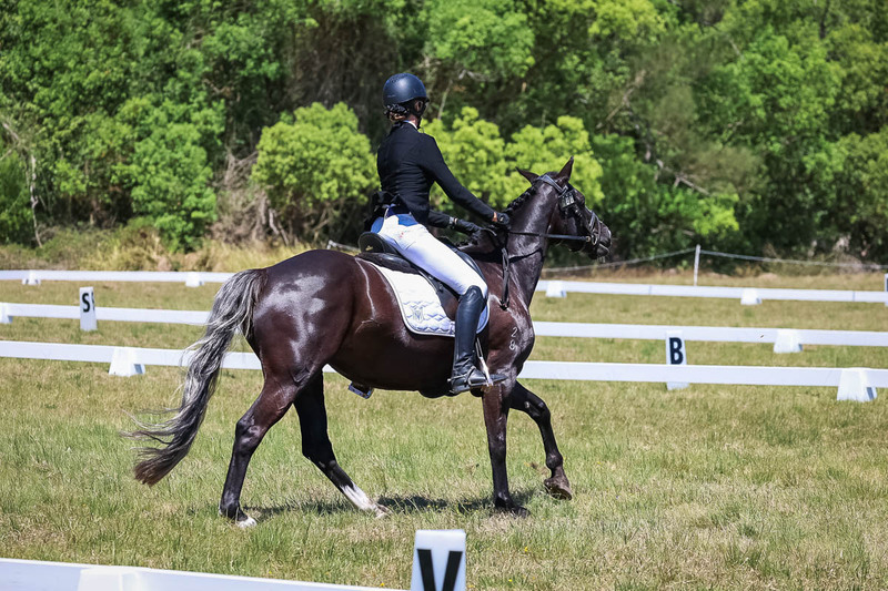 tEG 3DE 2025 Friday Dressage -1910.jpg
