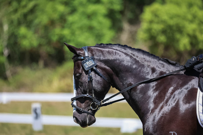 tEG 3DE 2025 Friday Dressage -1912.jpg