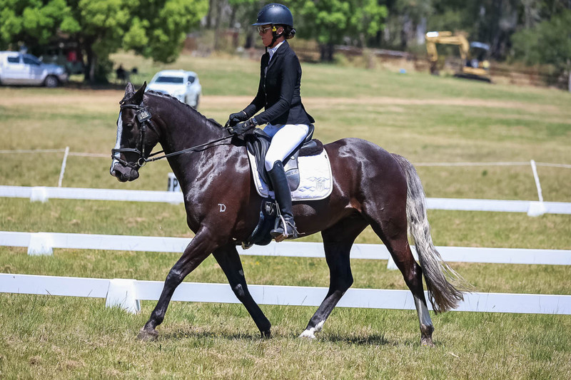 tEG 3DE 2025 Friday Dressage -1915.jpg