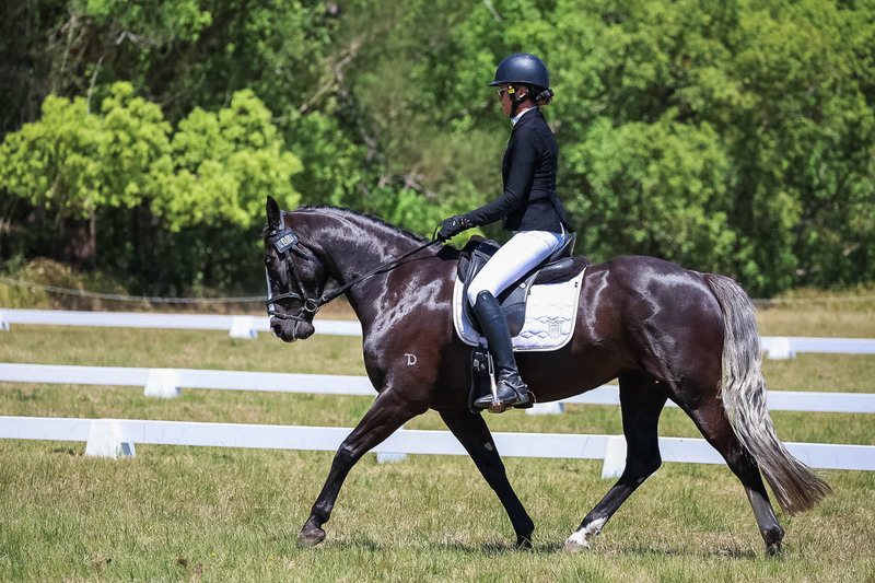 tEG 3DE 2025 Friday Dressage -1917.jpg