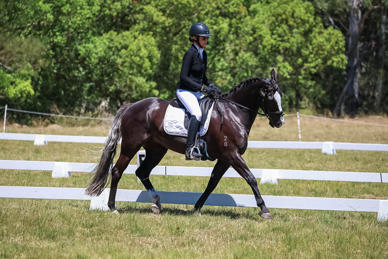 tEG 3DE 2025 Friday Dressage -1919.jpg