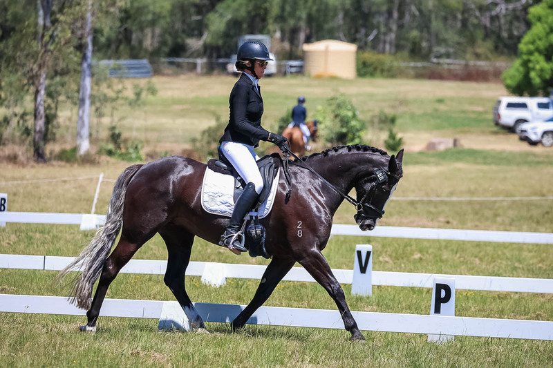 tEG 3DE 2025 Friday Dressage -1920.jpg