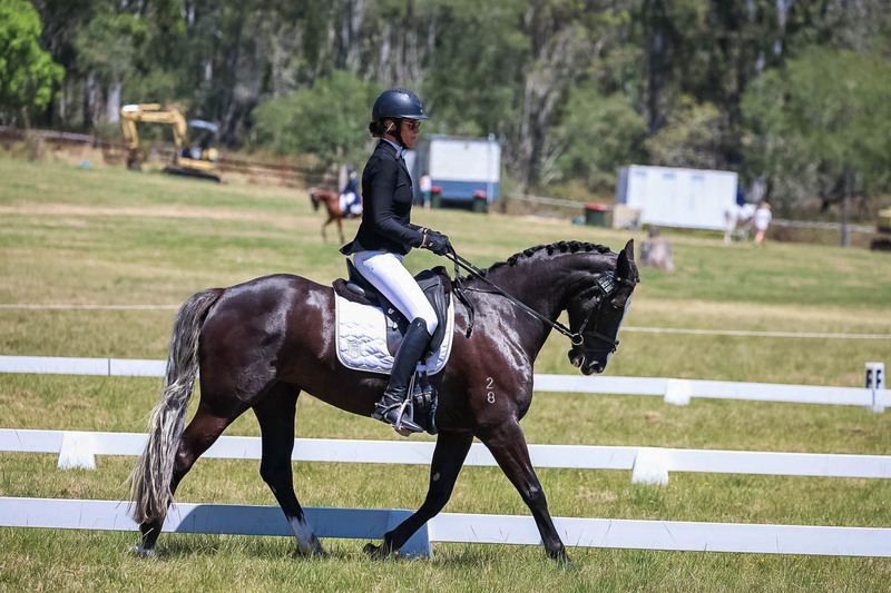 tEG 3DE 2025 Friday Dressage -1921.jpg