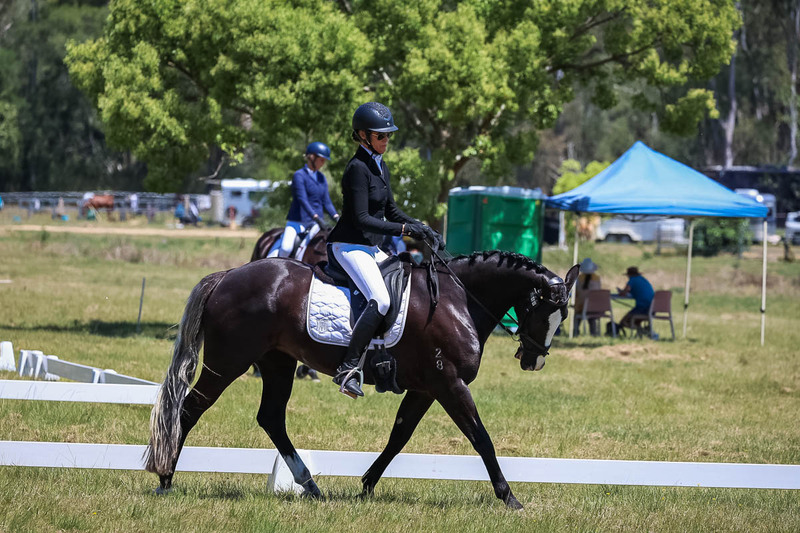tEG 3DE 2025 Friday Dressage -1922.jpg