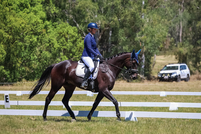 tEG 3DE 2025 Friday Dressage -1927.jpg