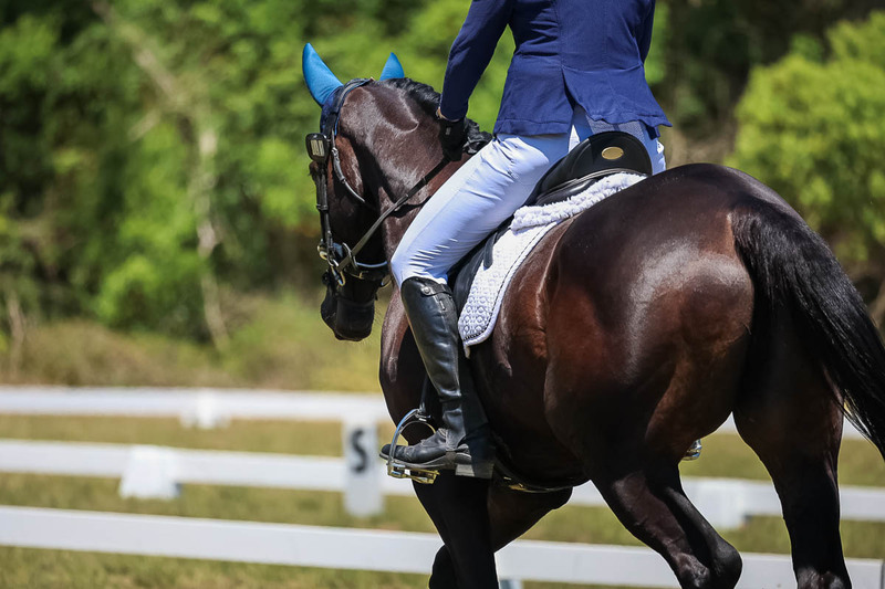 tEG 3DE 2025 Friday Dressage -1928.jpg