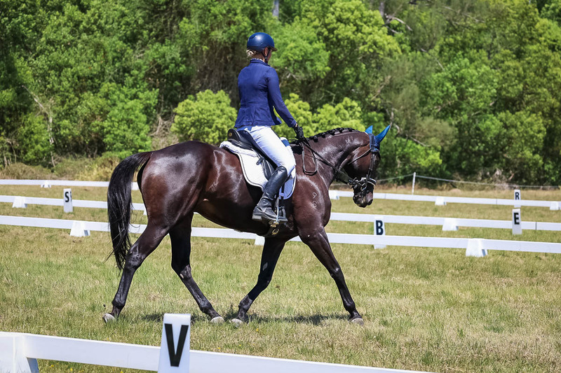 tEG 3DE 2025 Friday Dressage -1933.jpg