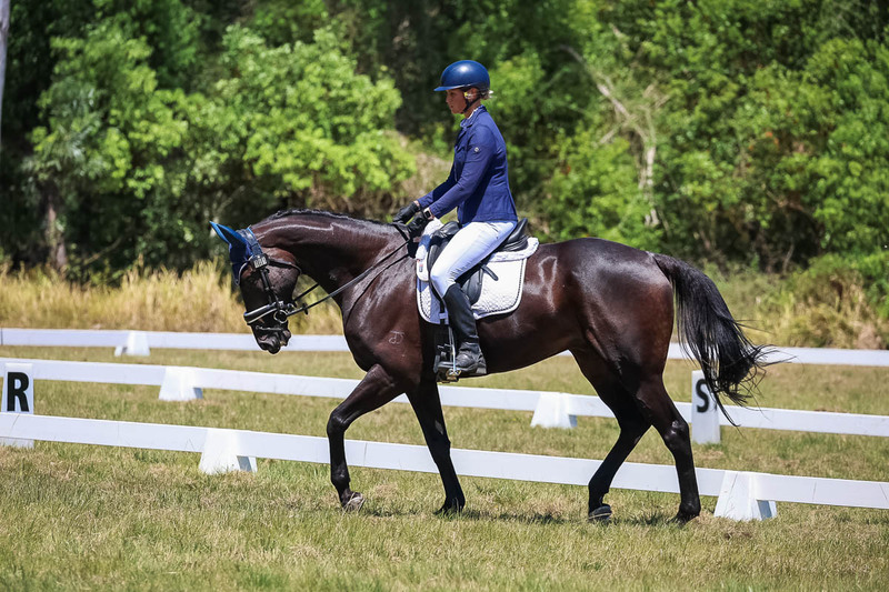 tEG 3DE 2025 Friday Dressage -1936.jpg