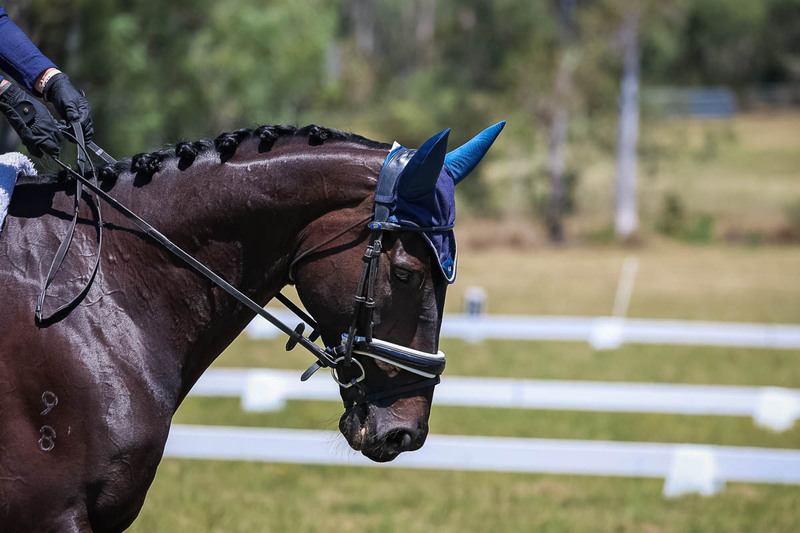 tEG 3DE 2025 Friday Dressage -1938.jpg