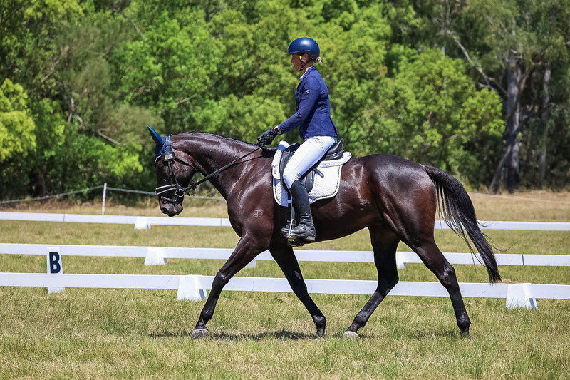 tEG 3DE 2025 Friday Dressage -1940.jpg