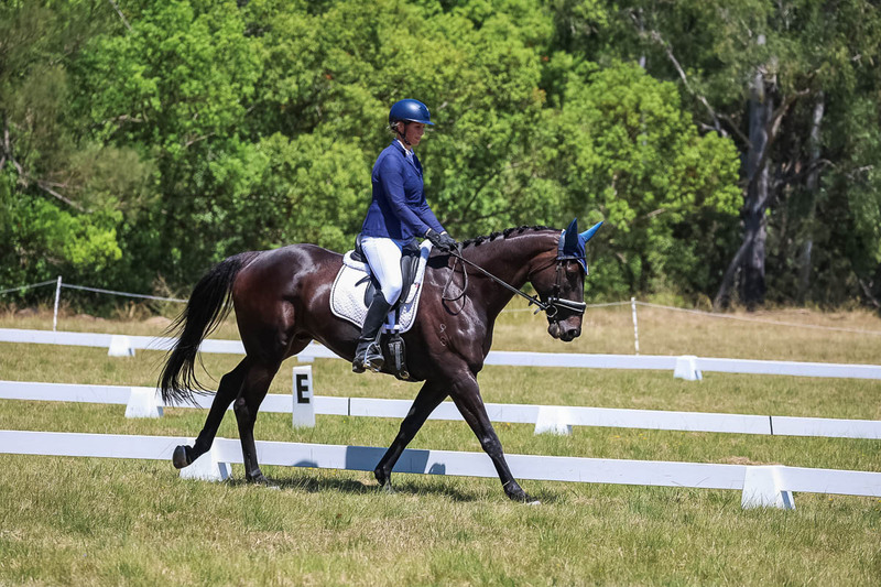 tEG 3DE 2025 Friday Dressage -1942.jpg