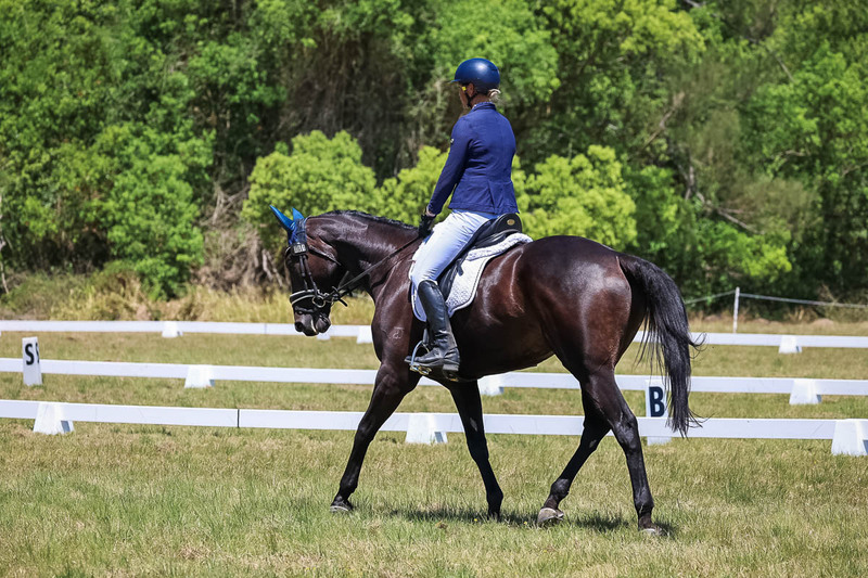 tEG 3DE 2025 Friday Dressage -1944.jpg