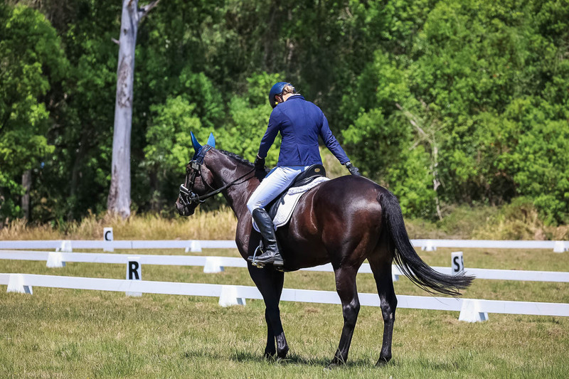 tEG 3DE 2025 Friday Dressage -1945.jpg