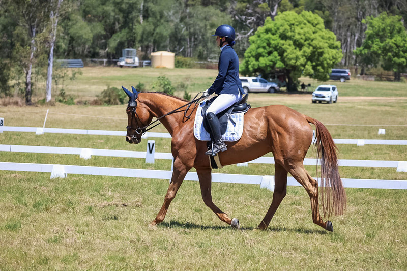 tEG 3DE 2025 Friday Dressage -1947.jpg