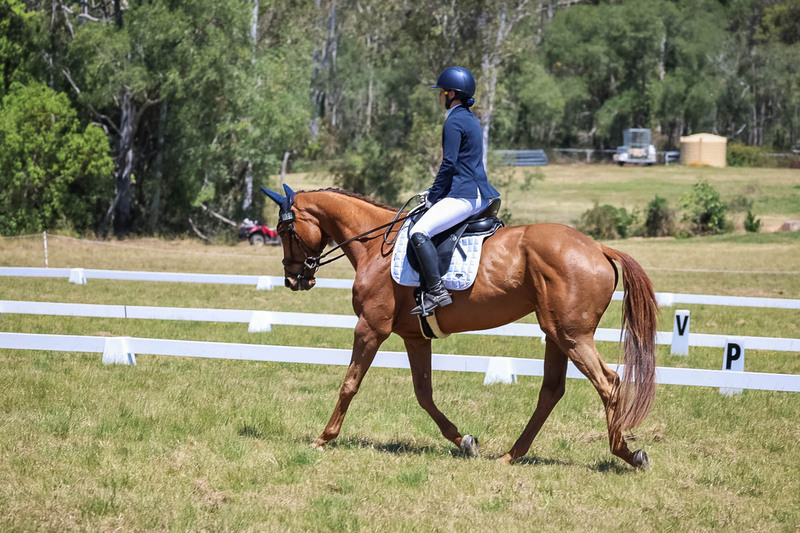 tEG 3DE 2025 Friday Dressage -1948.jpg