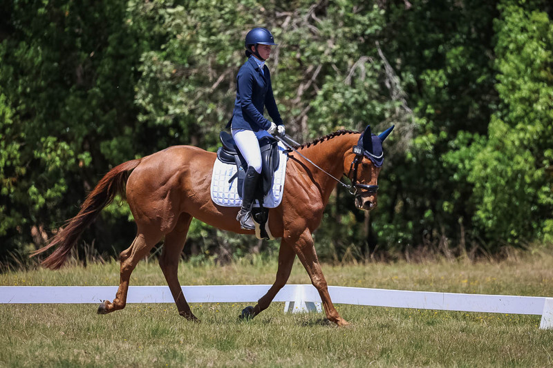 tEG 3DE 2025 Friday Dressage -1949.jpg