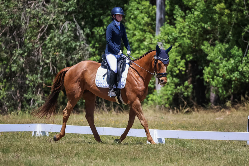 tEG 3DE 2025 Friday Dressage -1950.jpg