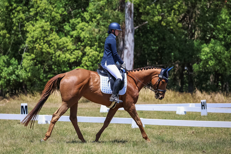 tEG 3DE 2025 Friday Dressage -1951.jpg