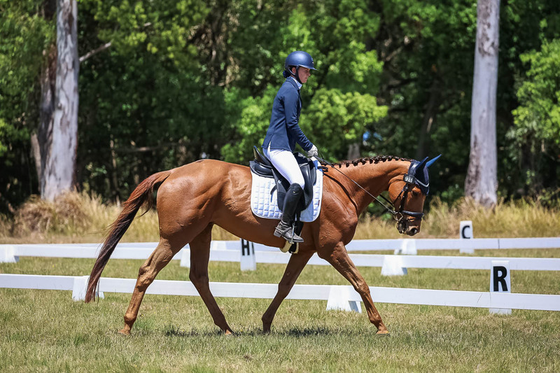 tEG 3DE 2025 Friday Dressage -1952.jpg