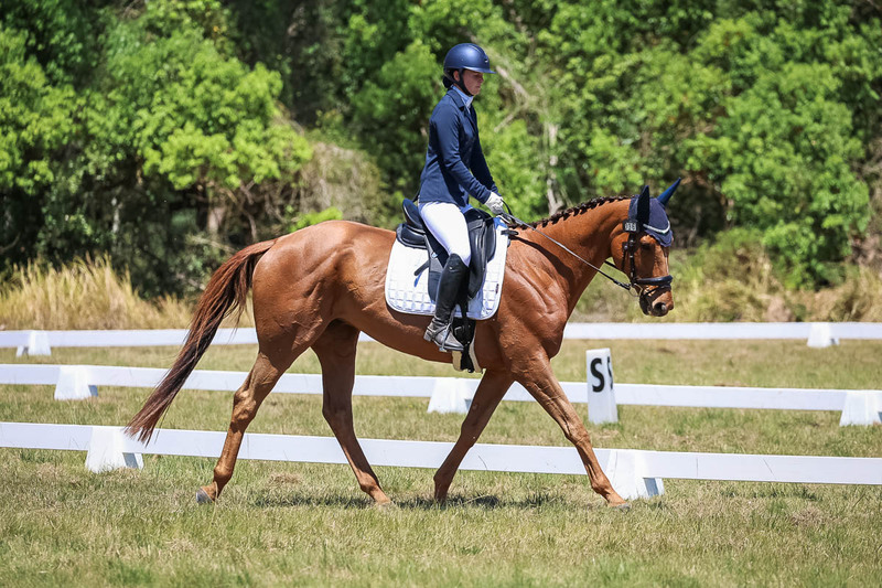 tEG 3DE 2025 Friday Dressage -1953.jpg
