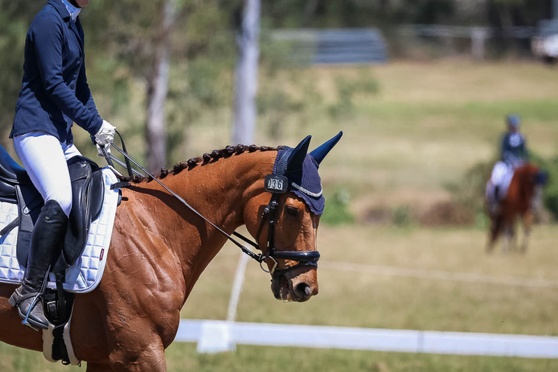 tEG 3DE 2025 Friday Dressage -1954.jpg
