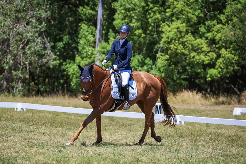 tEG 3DE 2025 Friday Dressage -1958.jpg