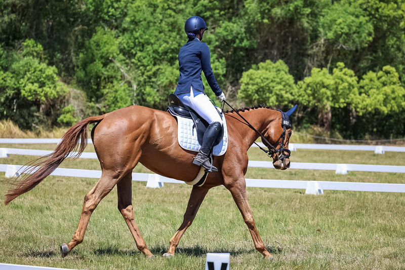 tEG 3DE 2025 Friday Dressage -1960.jpg