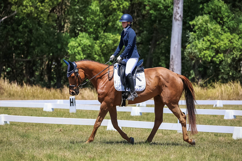 tEG 3DE 2025 Friday Dressage -1961.jpg