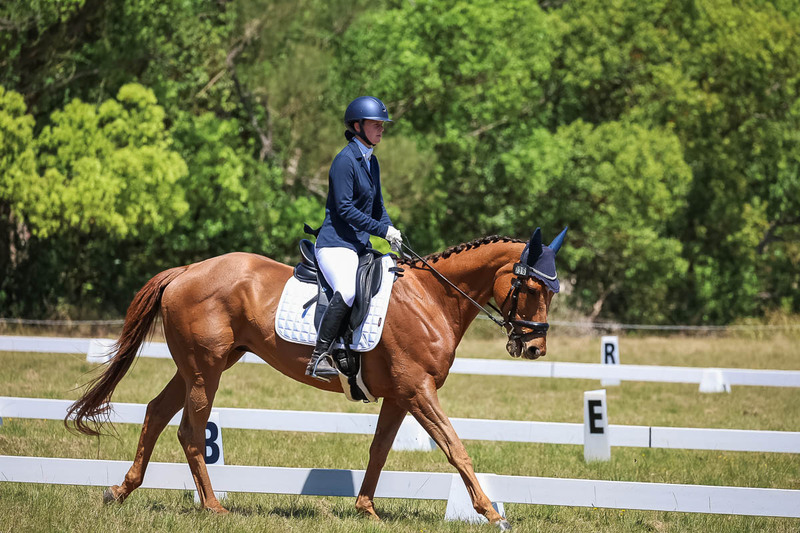 tEG 3DE 2025 Friday Dressage -1965.jpg