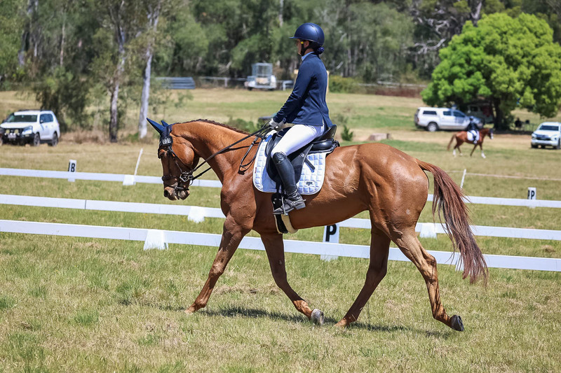 tEG 3DE 2025 Friday Dressage -1966.jpg