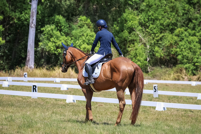 tEG 3DE 2025 Friday Dressage -1968.jpg