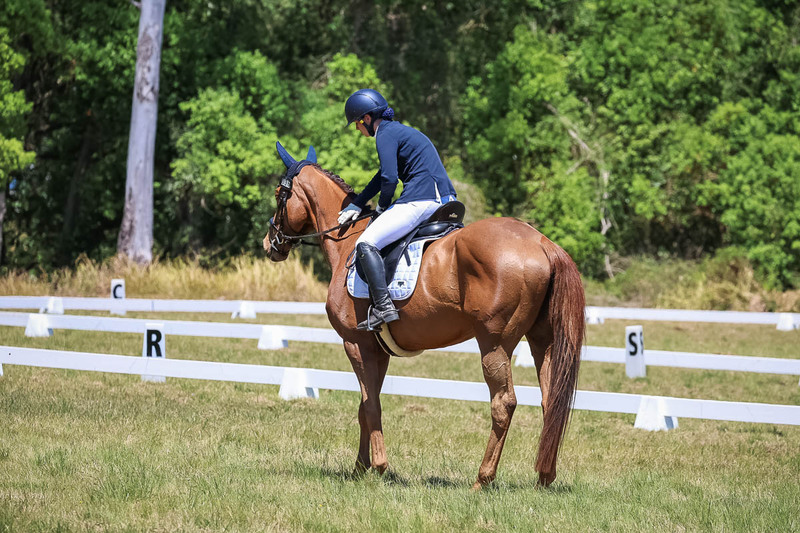 tEG 3DE 2025 Friday Dressage -1969.jpg