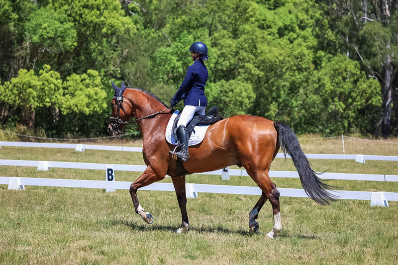 tEG 3DE 2025 Friday Dressage -1970.jpg