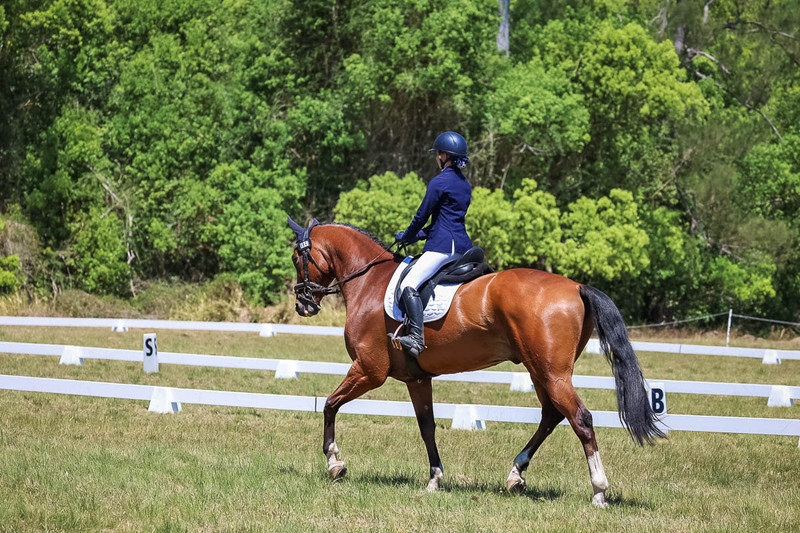 tEG 3DE 2025 Friday Dressage -1971.jpg