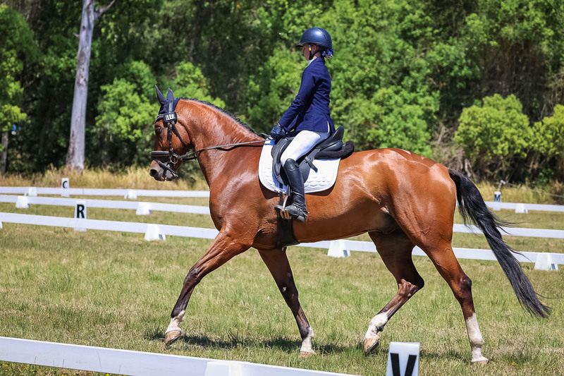 tEG 3DE 2025 Friday Dressage -1974.jpg