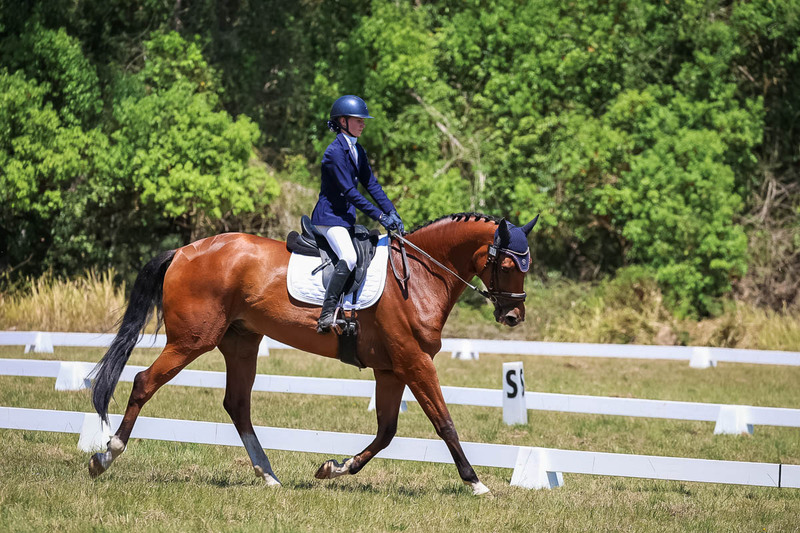 tEG 3DE 2025 Friday Dressage -1975.jpg