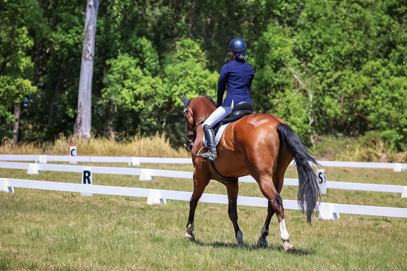 tEG 3DE 2025 Friday Dressage -1977.jpg