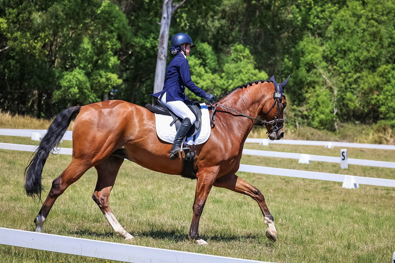 tEG 3DE 2025 Friday Dressage -1978.jpg